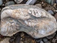 Stein in Hellgrau, Weiß und ockerfarbenen Einschlüssen